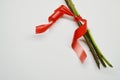 Three stems of roses with thorns tied with a red ribbon on a white background