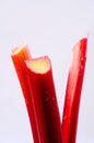 Three sticks of rhubarb. Royalty Free Stock Photo