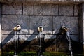 Three stone taps from which water flows Royalty Free Stock Photo