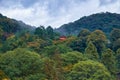 The view of Kiyomizu-dera Koyasu Pagoda on the slope of the hill. Higashiyama. Kyoto. Japan Royalty Free Stock Photo