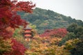 Three-storied pagoda surrounded by the red leaves of autumn at the Kiyomizu-dera temple, Kyoto, Japan Royalty Free Stock Photo