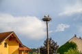 Three storks in nest on wooden column in Marchegg AUSTRIA