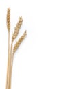 Three strands of wheat