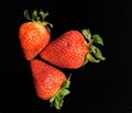Three strawberries in a Black background Royalty Free Stock Photo