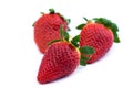 Three strawberries close up Royalty Free Stock Photo