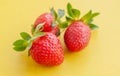 Three strawberries close up on yellow background Royalty Free Stock Photo