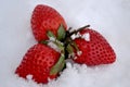 Three strawberries covered in the snow