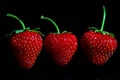 Three strawberries on black background Royalty Free Stock Photo