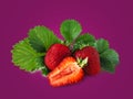 Three strawberries isolated on a dark purple background. Royalty Free Stock Photo