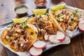 three street tacos Royalty Free Stock Photo