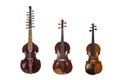 Three stringed musical instruments of the viol family in comparison, viola d amore, viola and violin, isolated on a white Royalty Free Stock Photo
