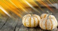 Pumpkins on wooden background