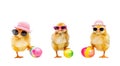 Three Stylish Chicks with Sunglasses and Easter Eggs on white background Royalty Free Stock Photo