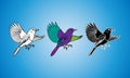 Three stylized birds in flight, showing different artistic renderings. Royalty Free Stock Photo