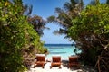 Three sun loungers framed by tropical plants on a beach in the Maldives Royalty Free Stock Photo