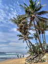 three surfers with surfboards running on the ocean palm beach Royalty Free Stock Photo