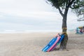 Three Surfing Board Under The Tree in Seminyak Beach Kuta Bali