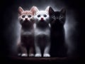 Three surprised kittens on a blurry foggy dark background, Light from behind