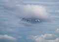 Three swans flying in front of a blue and cloudy sky Royalty Free Stock Photo