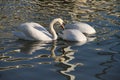 Three swans