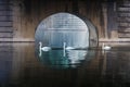 three swans under the bridge Royalty Free Stock Photo