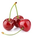 Three sweet cherries