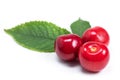 Three sweet cherries with cherry leaf isolated on a white background Royalty Free Stock Photo