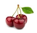 Three sweet cherries with cherry leaf Royalty Free Stock Photo