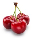 Three sweet cherries isolated on white background. File contains clipping paths Royalty Free Stock Photo
