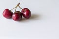 Three sweet cherries on a white background Royalty Free Stock Photo