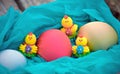 Three sweet chicken and three colored easter eggs on a blue cloth in a basket Royalty Free Stock Photo