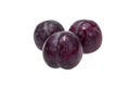 Black amber plum, a fruit of the subgenus Prunus Royalty Free Stock Photo