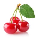 Three sweet juicy cherry with green leaf
