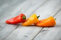 Three sweet mini peppers red, yellow and orange on a wooden background Royalty Free Stock Photo