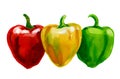 Three sweet peppers