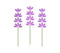 Three symbolic lavender flowers
