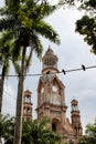 Three symbols of the city of Palmira in Colombia: Palm trees, doves and the historical Nuestra SeÃÂ±ora del Palmar cathedral