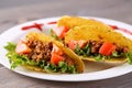 Three taco shells on the plate