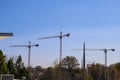 Three tall tower cranes surrounded by bare winter trees and lush green trees with clear blue sky in Atlanta