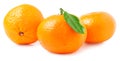 Three tangerine with leaf on a white background