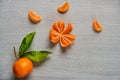 Three tangerine orange slices on the gray wooden board with free copy space. Fresh raw mandarin orange with green leaves