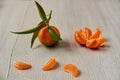 Three tangerine orange slices on the gray wooden board with free copy space. Peeled mandarin orange and fresh raw tangerine