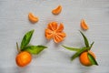 Three tangerine orange slices on the gray wooden board with free copy space. Two fresh raw mandarins orange with green leaves Royalty Free Stock Photo