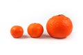 Three tangerines isolated