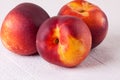 Three tasty fresh ripe juicy nectarines Royalty Free Stock Photo