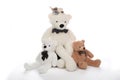 Toy bears, soft toys, isolated object on a white background Royalty Free Stock Photo