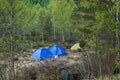 Three tents in a clearing among the trees. Blue and yellow. Royalty Free Stock Photo