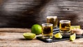 Three tequila shot glasses with salt and lime Mexican national drink. Golden tequila shots. space for text. Long banner format Royalty Free Stock Photo