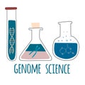 Three test tubes with helix DNA, chromosome, nucleotides.