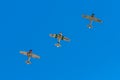 Three AT-6 Texan Airplanes Fly Directly Overhead